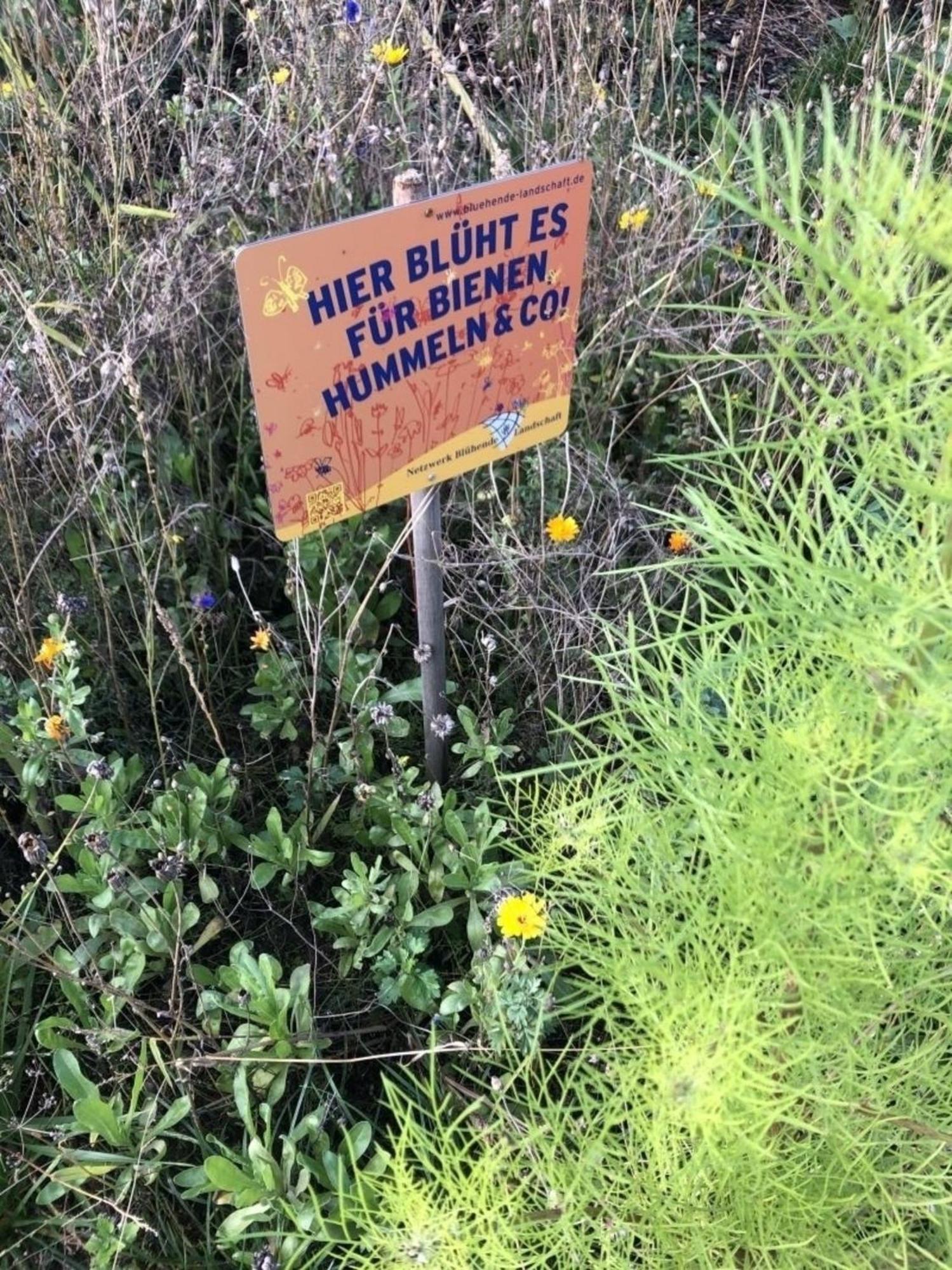 Meeresperle 6 Nordstern Klutz Kültér fotó